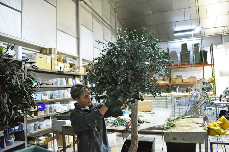 Proceso de fabricación - ARBOLEUM