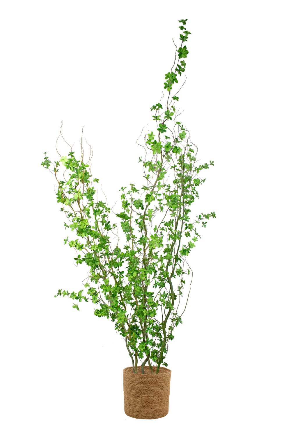 Árbol artificial FR - ARBOLEUM