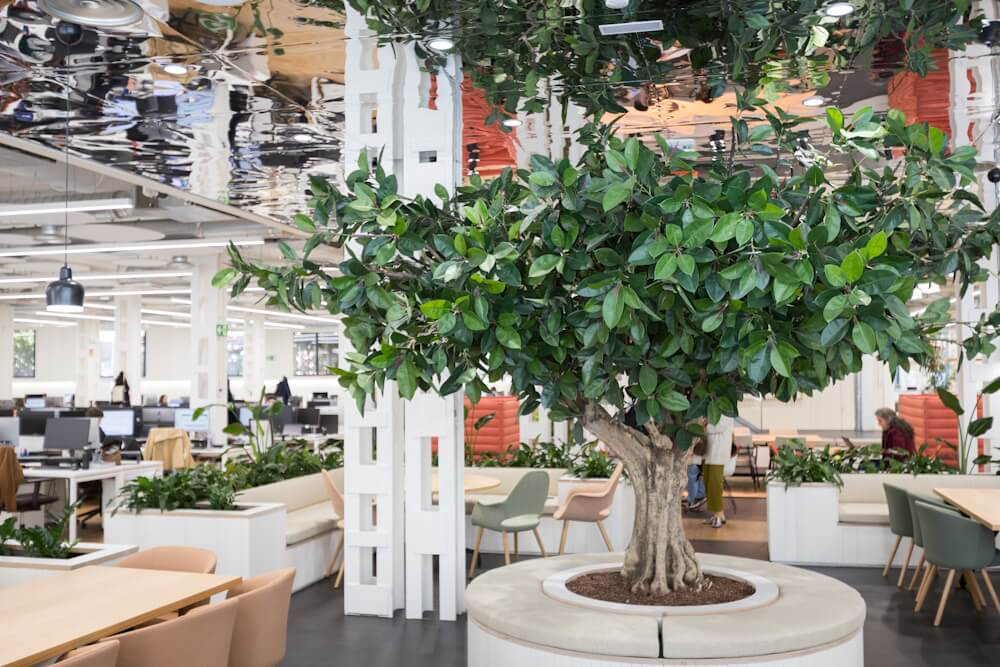 ÁRBOLES A MEDIDA - ARBOLEUM