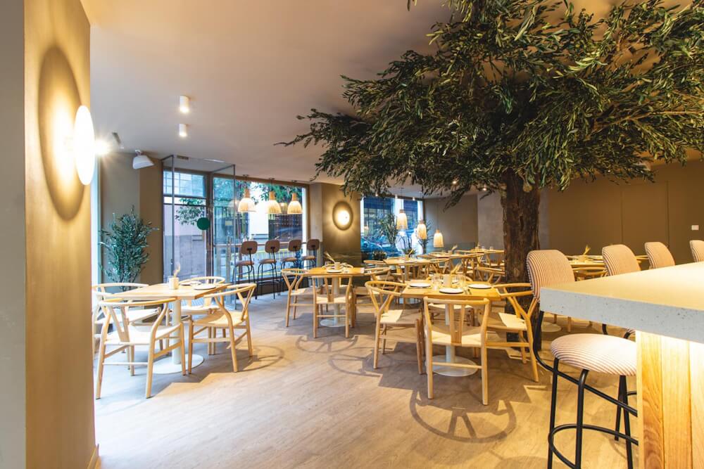 ÁRBOLES A MEDIDA - ARBOLEUM