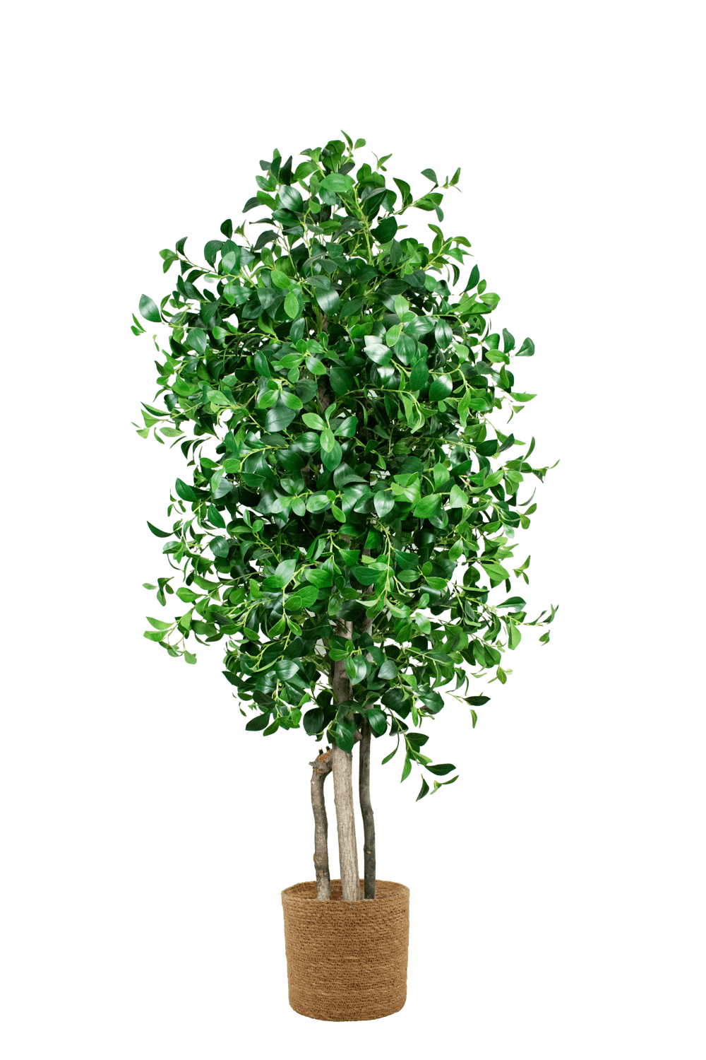 Árbol artificial FR - ARBOLEUM